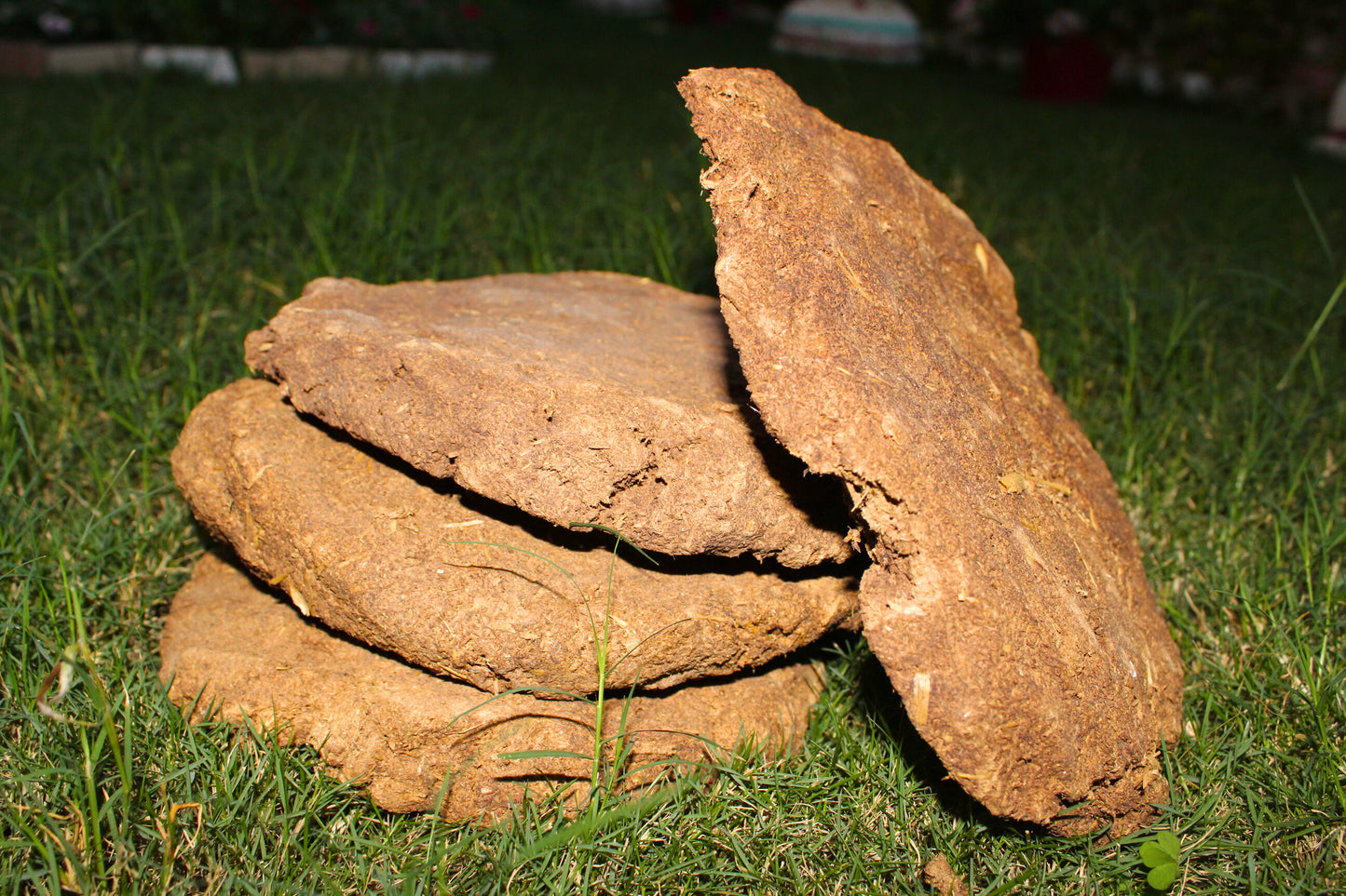 Manokamnapurna Shudh Kanda Hand-Made – Pure Divine Energy for Every Ritual [pack of 4pcs]