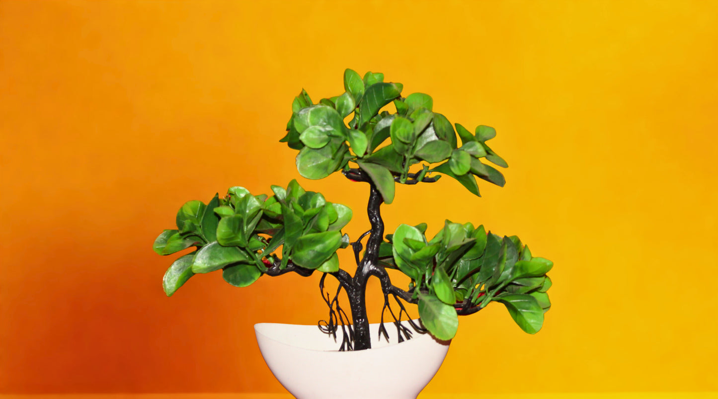 Manokamnapurna Money Growth Plant – Bring Home Wealth & Prosperity